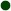 greenpoint.jpg (810 bytes)